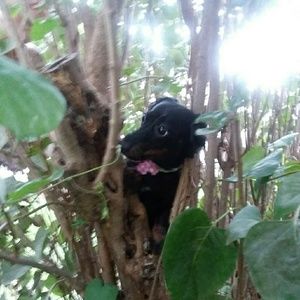 Meet your Posher, Laurie